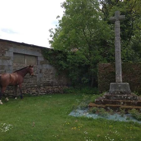 לינה וארוחת בוקר Saint-Sauveur-de-Carrouges Haras De La Croix D'Argent מראה חיצוני תמונה