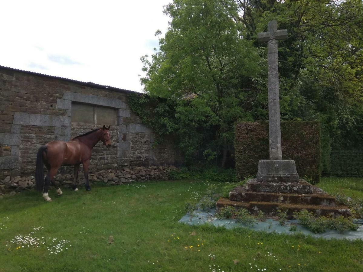 לינה וארוחת בוקר Saint-Sauveur-de-Carrouges Haras De La Croix D'Argent מראה חיצוני תמונה