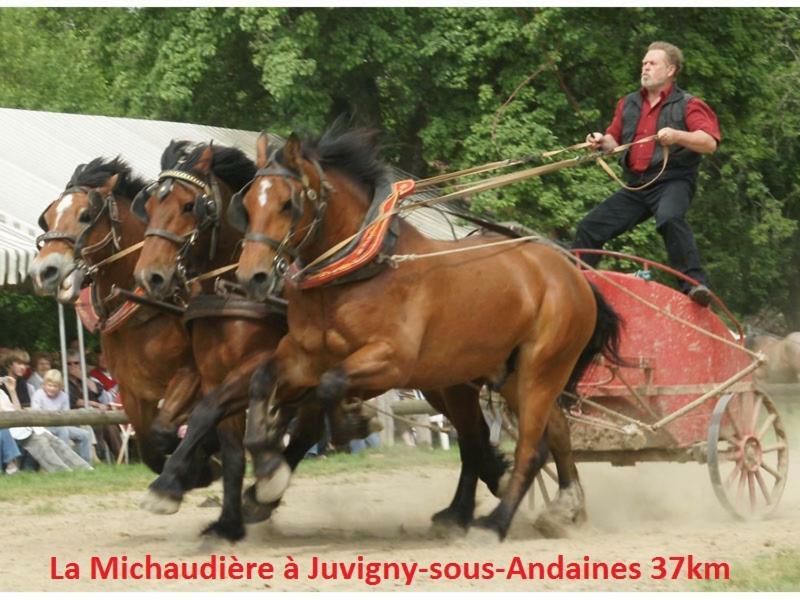 לינה וארוחת בוקר Saint-Sauveur-de-Carrouges Haras De La Croix D'Argent מראה חיצוני תמונה