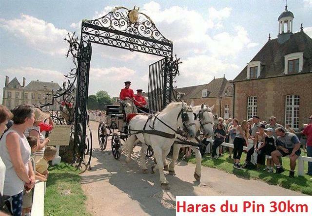 לינה וארוחת בוקר Saint-Sauveur-de-Carrouges Haras De La Croix D'Argent מראה חיצוני תמונה