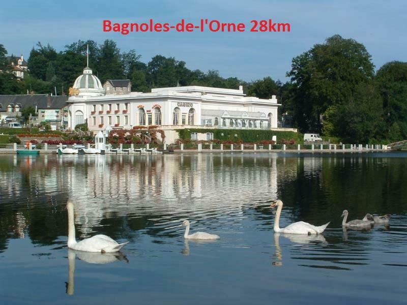 לינה וארוחת בוקר Saint-Sauveur-de-Carrouges Haras De La Croix D'Argent מראה חיצוני תמונה